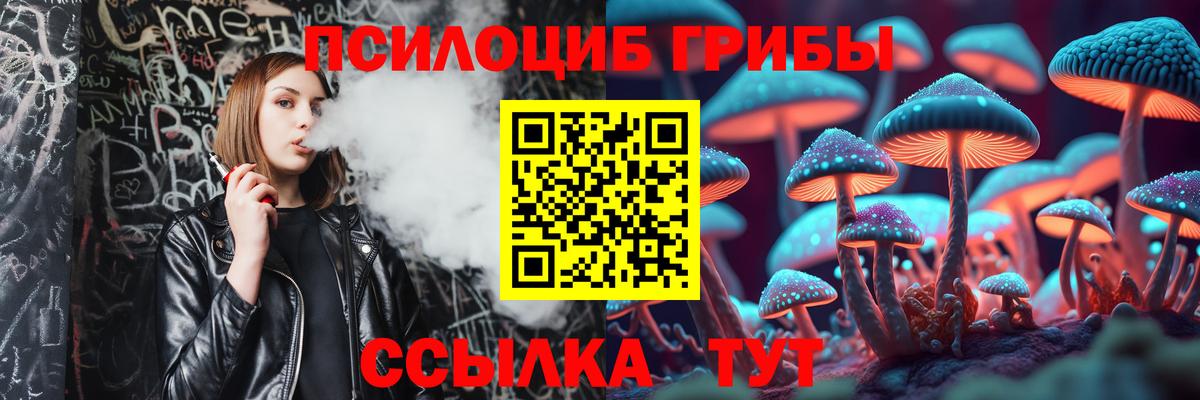 Заволжье  продажа наркотиков  Вход с VPN  Псилоцибиновые грибы прущие грибы  Псилоцибиновые грибы Magic Shrooms 