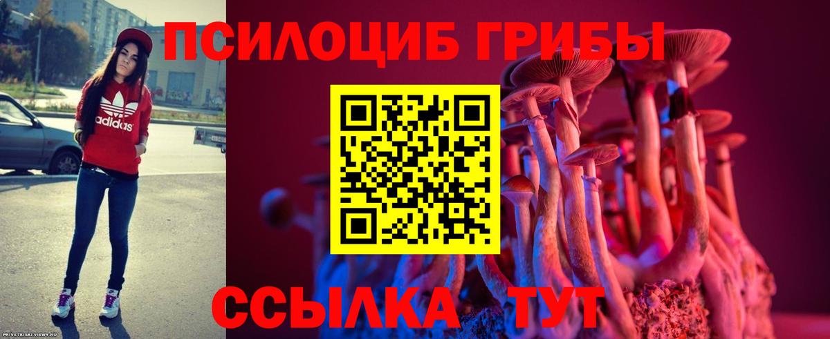 Псилоцибиновые грибы Cubensis Заволжье